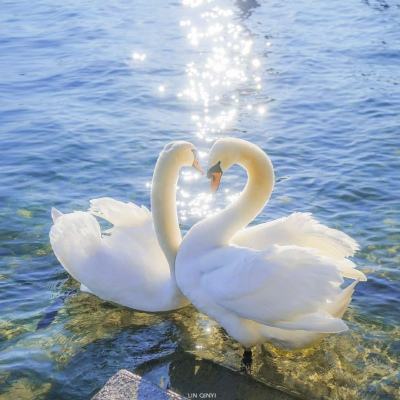 易倍手机app下载截图