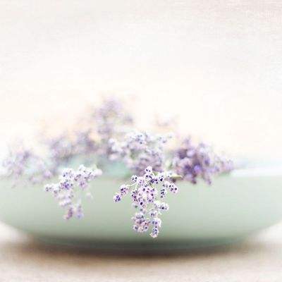 足球赌注软件下载手机版